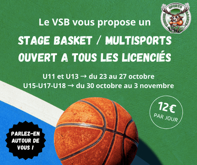 Stage Toussaint Vineuil Basket 2023